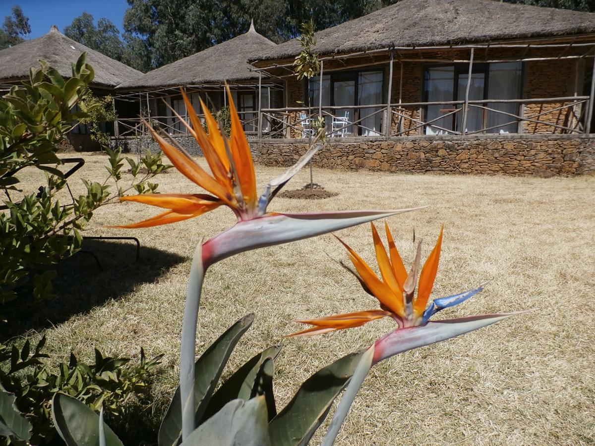 Mayleko Lodge Gonder Exterior photo